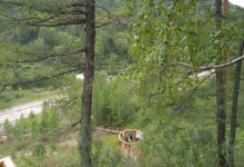 Photo of Беспилотные аппараты для мониторинга лесов