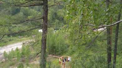 Photo of Беспилотные аппараты для мониторинга лесов