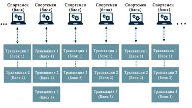 Photo of Блокчейн в учебных заведениях